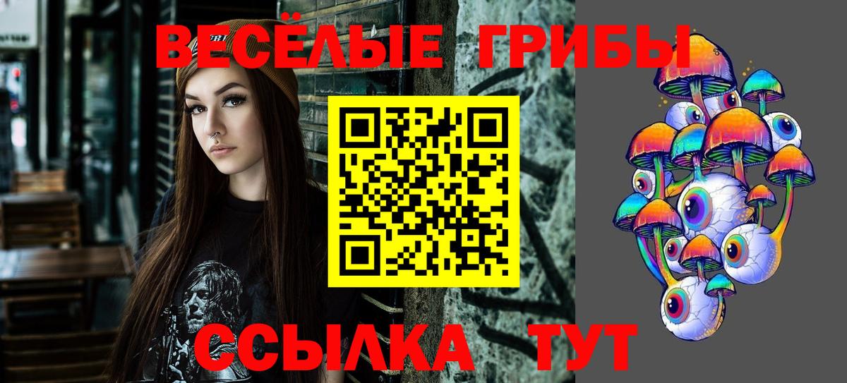 Псилоцибиновые грибы мицелий Большой Камень