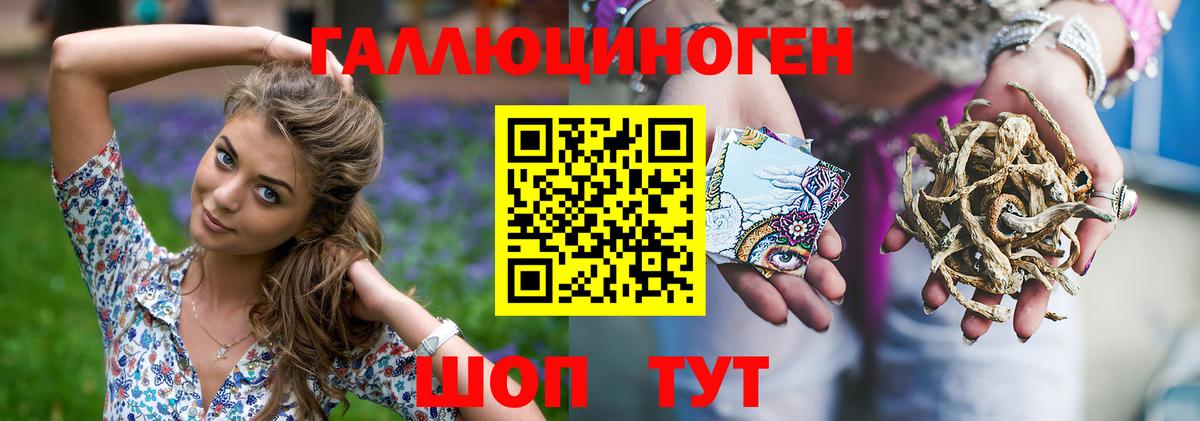 Псилоцибиновые грибы прущие грибы  Вход с VPN  Большой Камень 